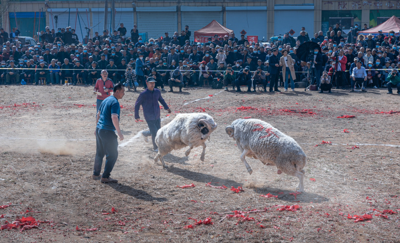 img28